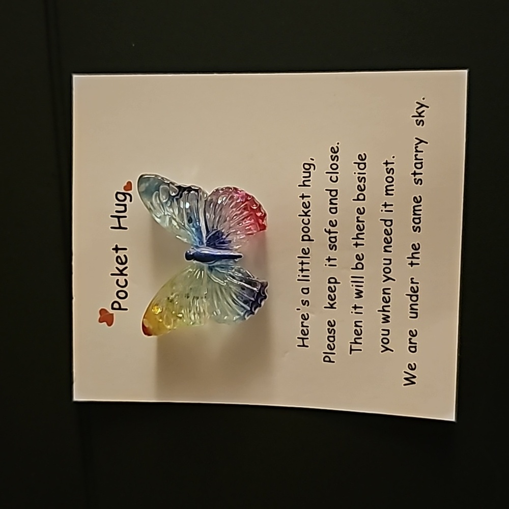 Pocket Hug Butterfly Multi-Colored 🦋